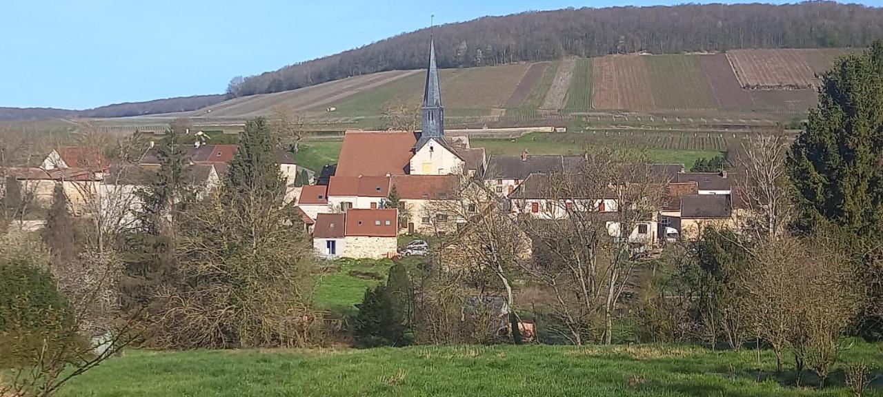 Gite Du Bel Air Festigny  Exterior photo