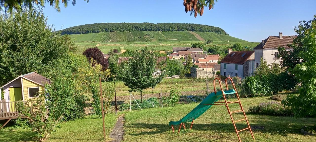Gite Du Bel Air Festigny  Exterior photo